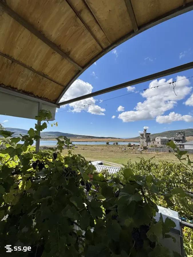 Private House Daily Rent. Bazaleti view 6