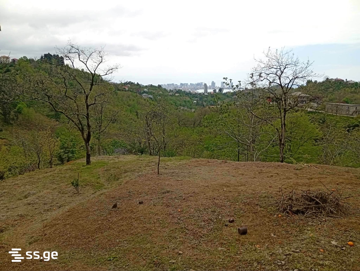 Land For Sale. Makhindjauri view 3
