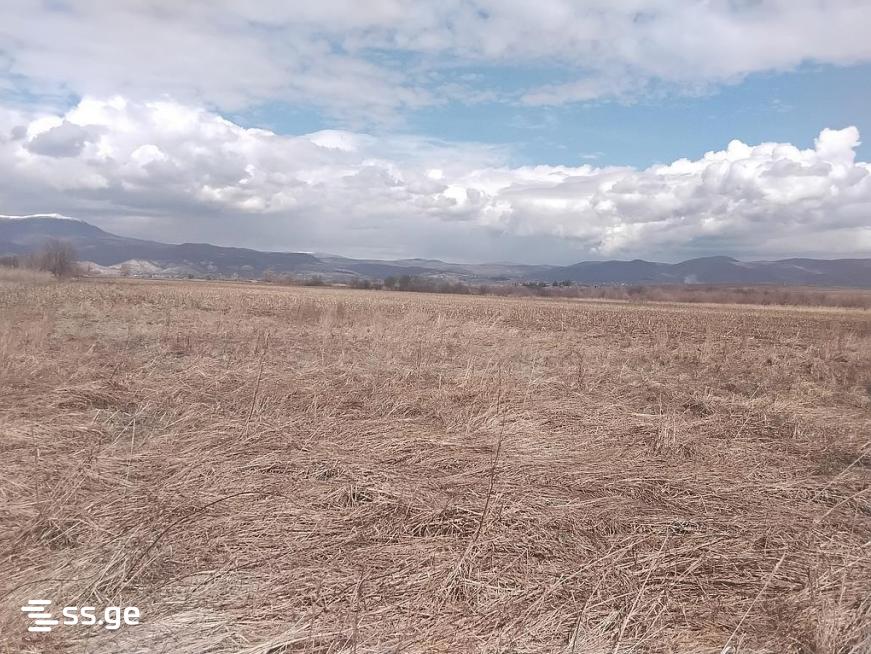 Land For Sale. Sagarejo view 2