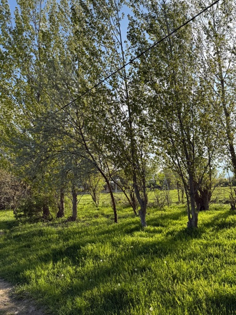 https://static.ss.ge/20260506/5_fad81a51-4455-4888-812e-06895a1207b2_Thumb.jpg