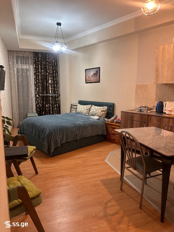 1 Room Flat Daily Rent. Nadzaladevi, 1 of 4