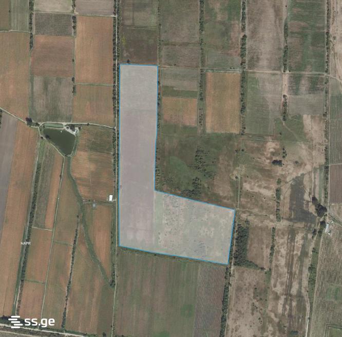 Land For Sale. Sagarejo view 5