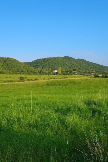 https://static.ss.ge/20260506/8_0ce1e5d8-cc80-4375-8e92-5479cd684a09_Thumb.jpg