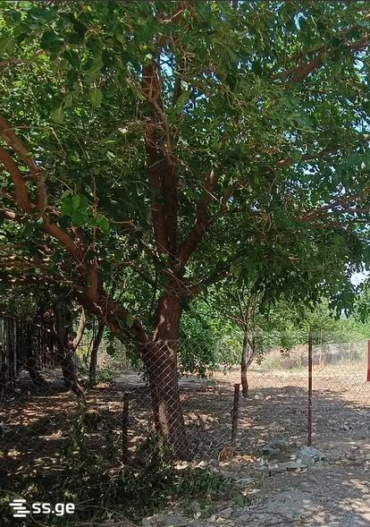 Land For Sale. Saburtalo view 3