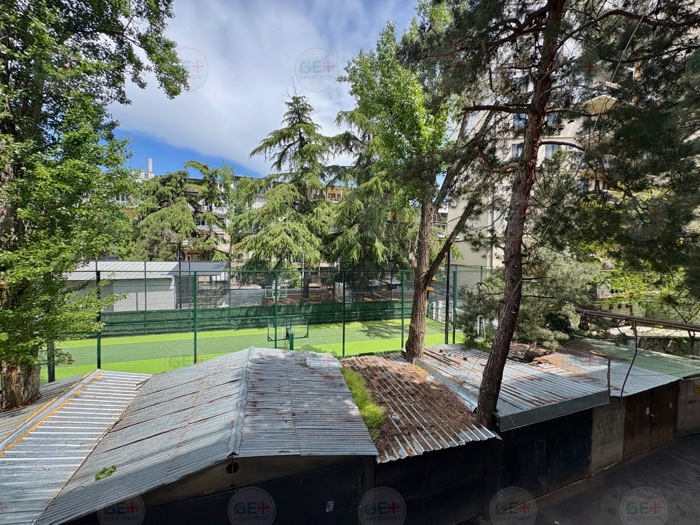 https://static.ss.ge/20260507/12_6c8deb8b-baa3-4289-8572-500293a24f46_Thumb.jpg