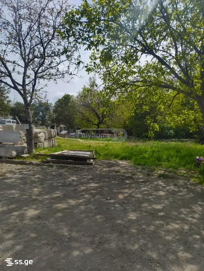 Land For Sale. Isani view 5