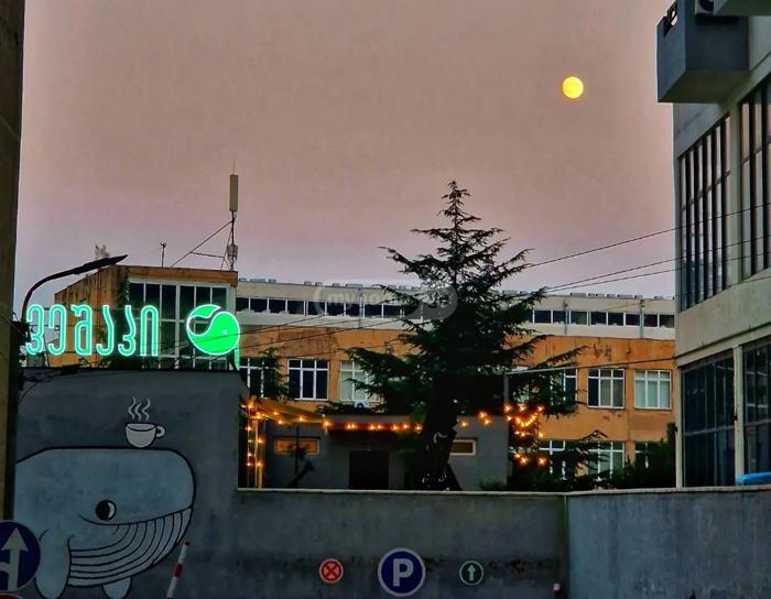 https://static.ss.ge/20260507/16_5c095aae-9ace-48c8-b033-751ff58486b3_Thumb.jpg