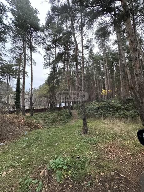 https://static.ss.ge/20260507/16_5e58cde6-9ae4-4554-8fb1-3978d6fe8743_Thumb.jpg