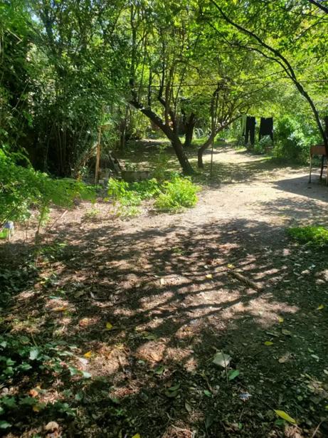 https://static.ss.ge/20260507/5_42fe403a-b200-4de0-82ca-2d3bb5ced01f_Thumb.jpg