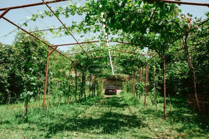 https://static.ss.ge/20260507/6_7efd49c1-3021-4bfb-80ee-5b464987c85c_Thumb.jpg