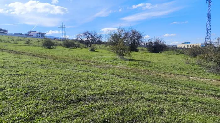 https://static.ss.ge/20260507/7_34f3bde4-6a0f-47de-b5ee-c978688483c2_Thumb.jpg