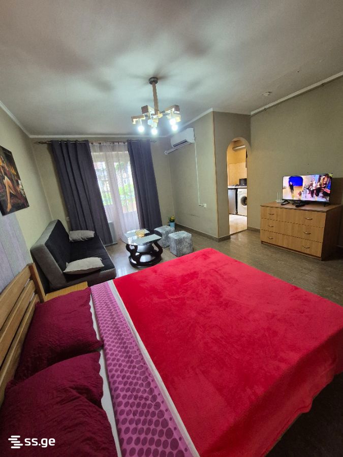 1 room Flat Daily rent. Saburtalo - Ansicht 4