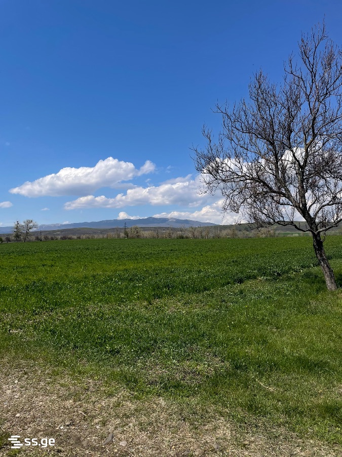 Land For Sale. Akhalsopeli view 7