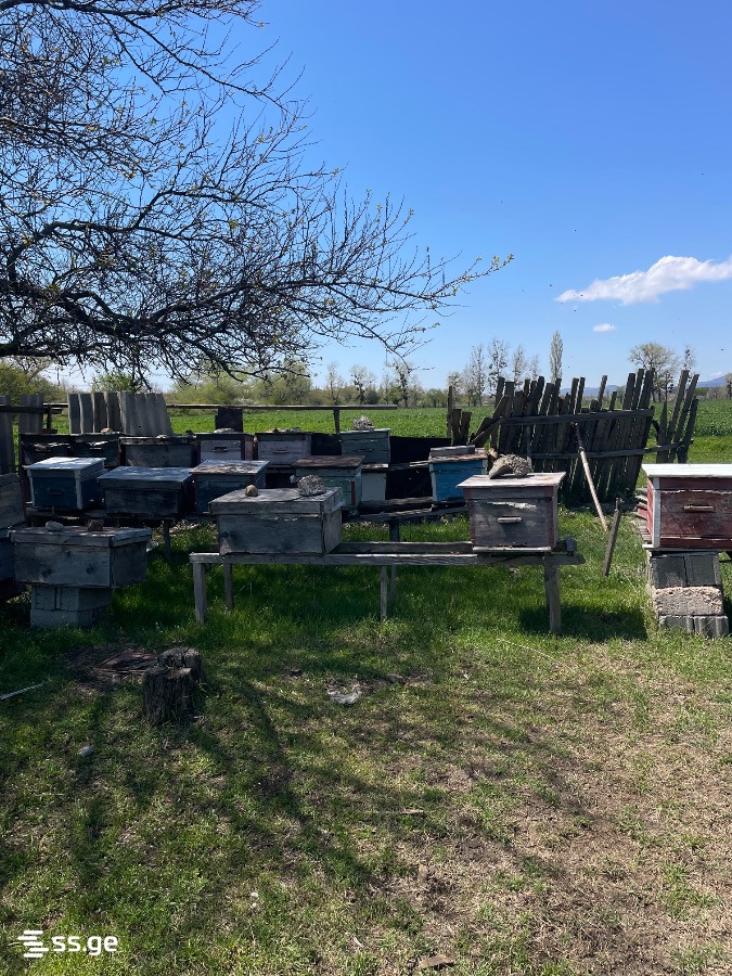 Land For Sale. Akhalsopeli view 12