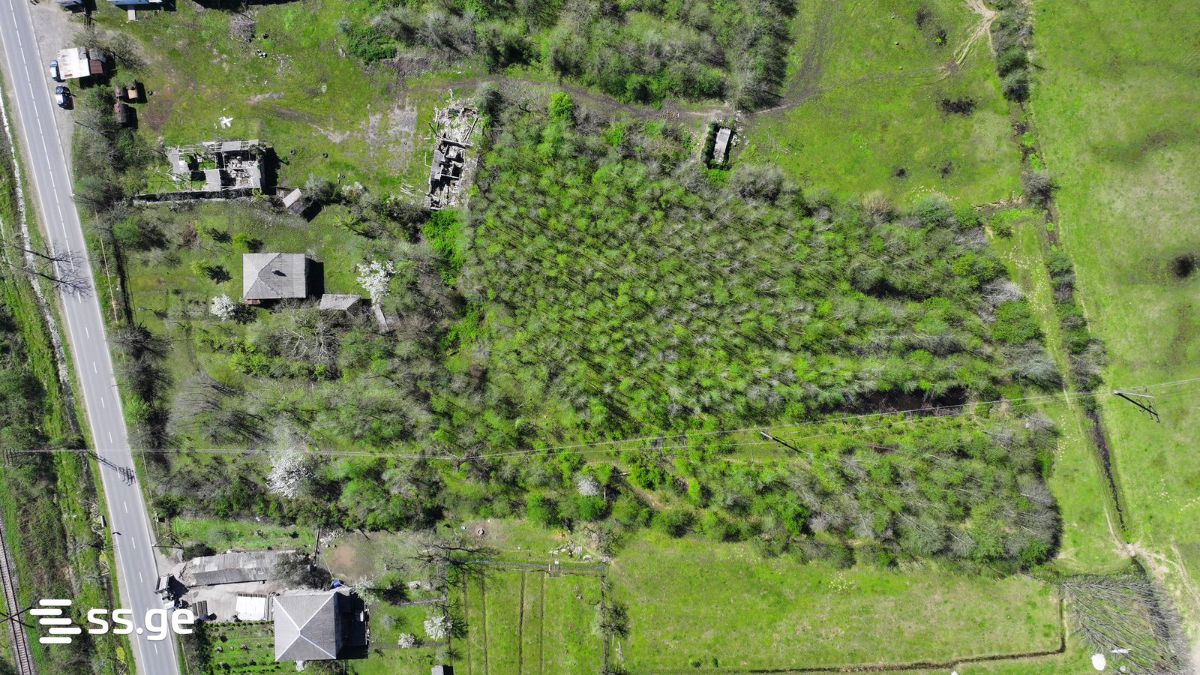 Land For Sale. Grigoleti view 8