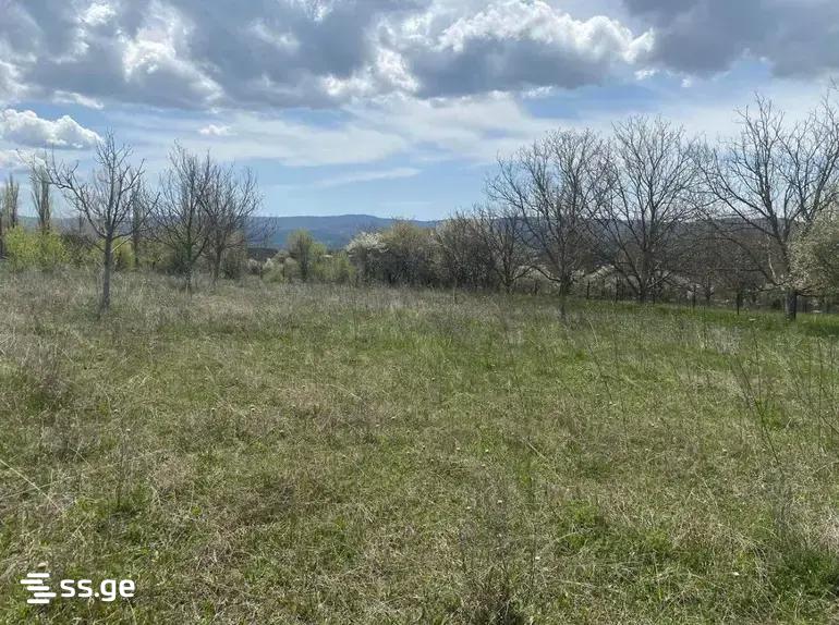 Land For Sale. Tianeti view 4