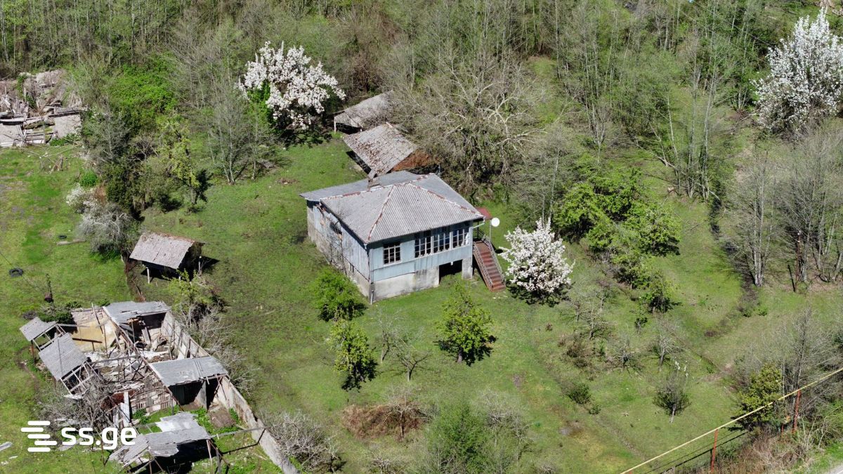 Land For Sale. Grigoleti view 10