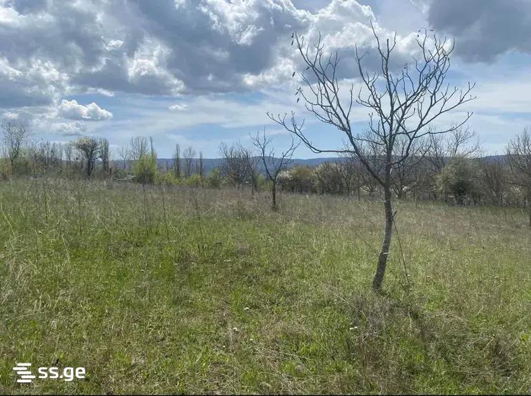 Land For Sale. Tianeti view 8