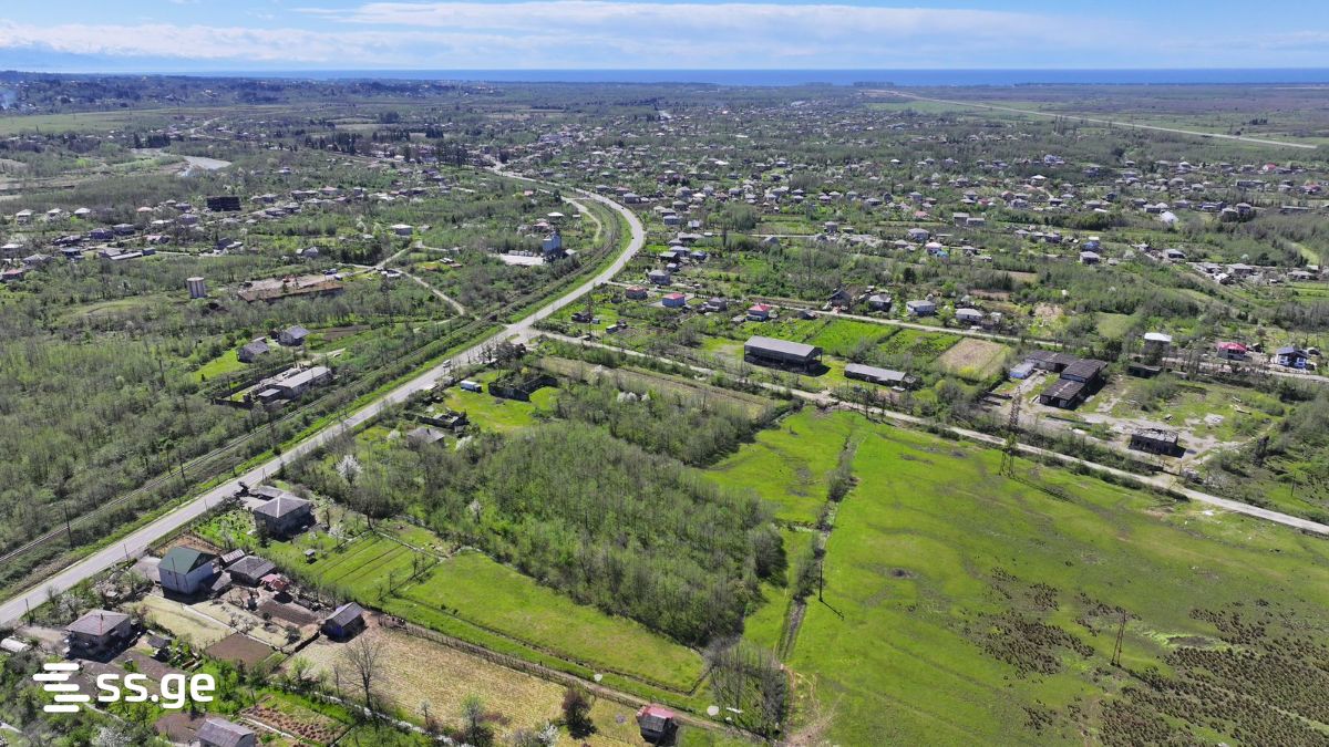 Land For Sale. Grigoleti view 5