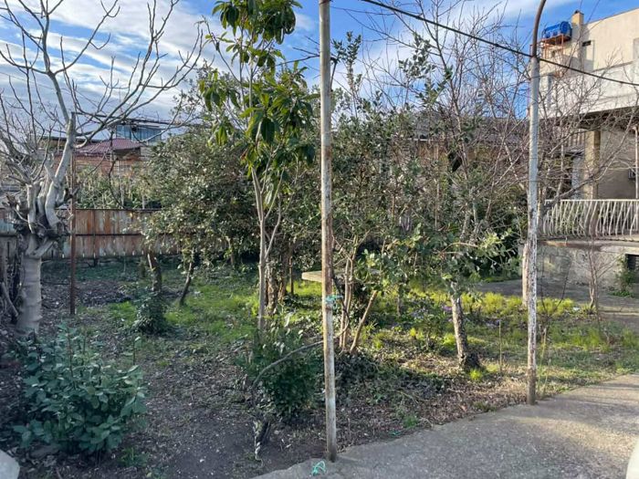 https://static.ss.ge/20260508/15_7e8d021d-40c4-45f3-b876-18c74a84d604_Thumb.jpg
