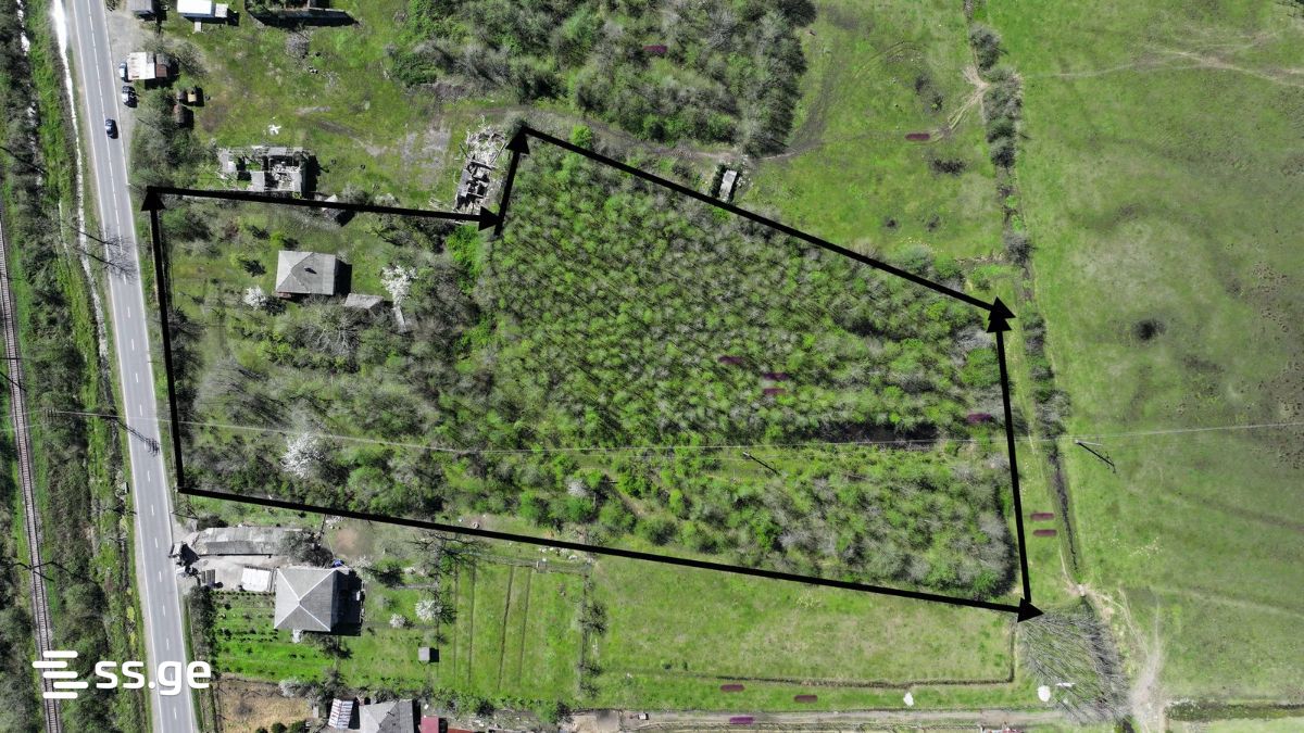 Land For Sale. Grigoleti view 2
