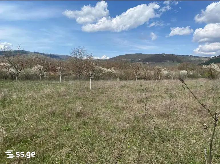 Land For Sale. Tianeti view 2