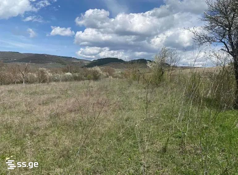 Land For Sale. Tianeti view 7