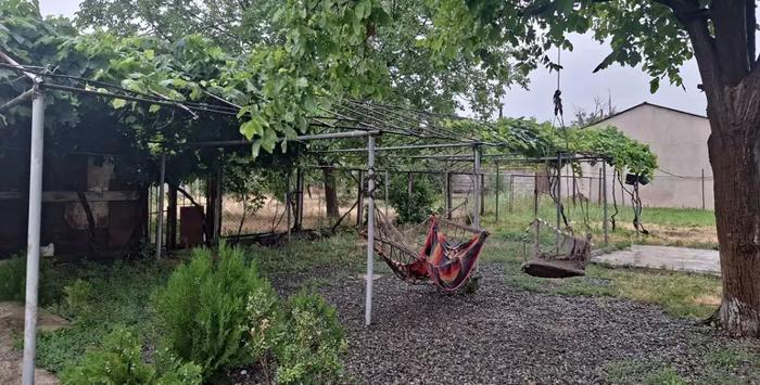 https://static.ss.ge/20260508/17_cb52ca4b-794a-4543-86e1-a39d3fedaecb_Thumb.jpg