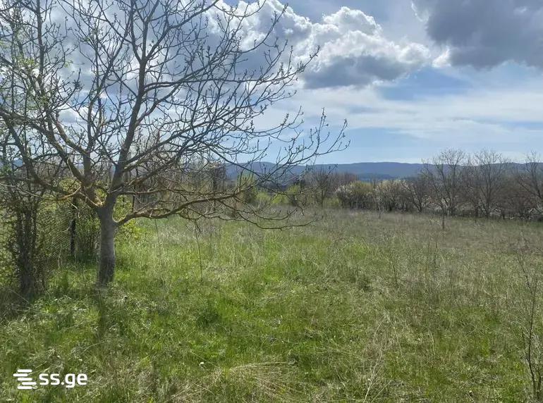 Land For Sale. Tianeti view 5