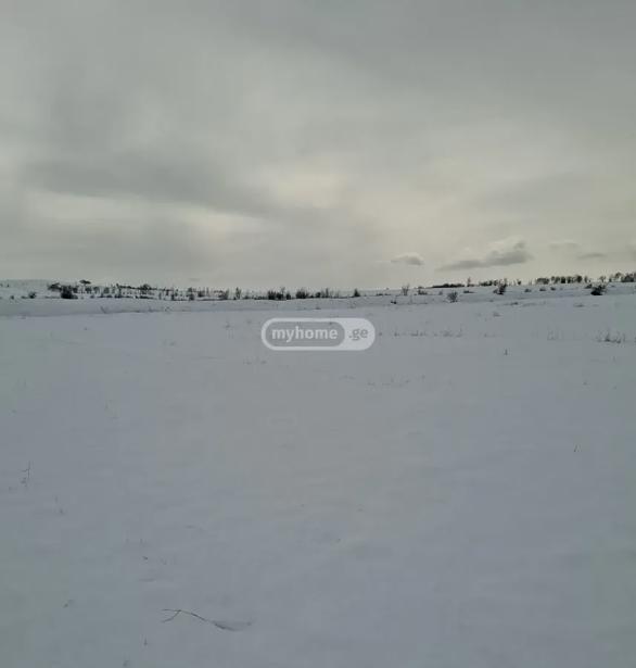 https://static.ss.ge/20260508/3_8135d1b1-6006-4580-a94b-ae8402455100_Thumb.jpg