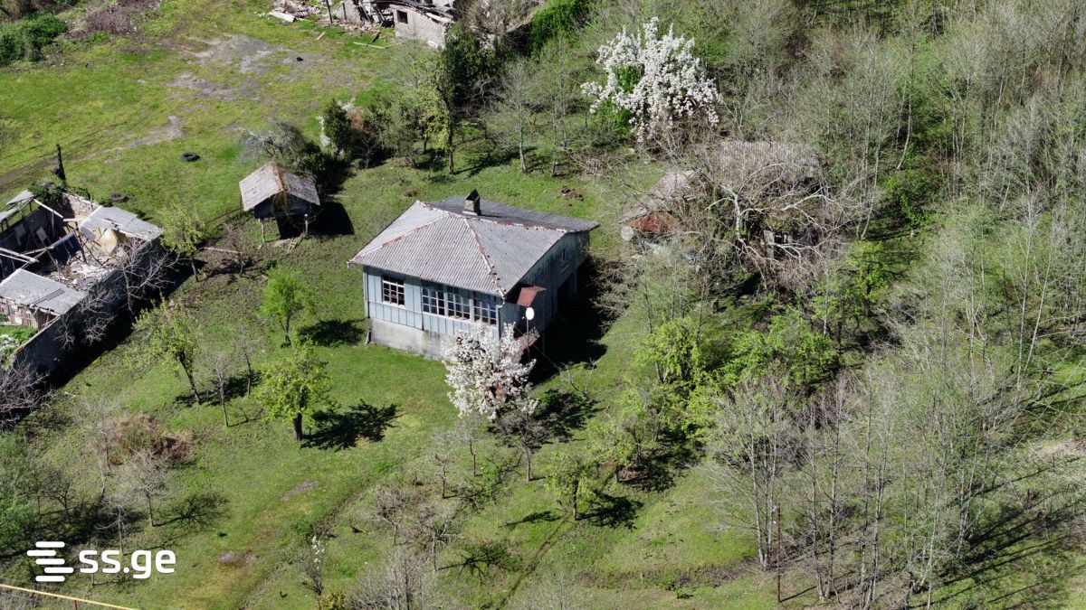 Land For Sale. Grigoleti view 6