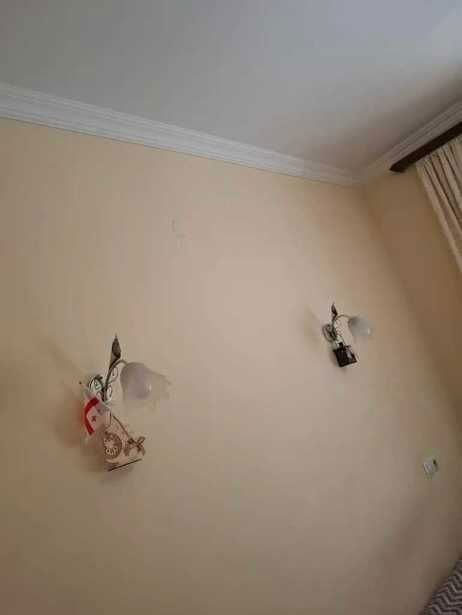 https://static.ss.ge/20260508/6_1514e239-62d7-475b-9da2-11d531cf91bb_Thumb.jpg