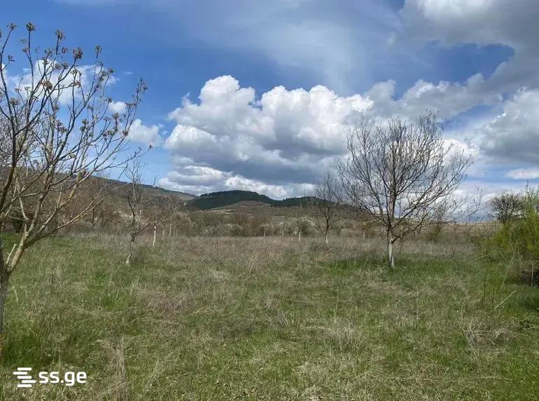 Land For Sale. Tianeti view 6