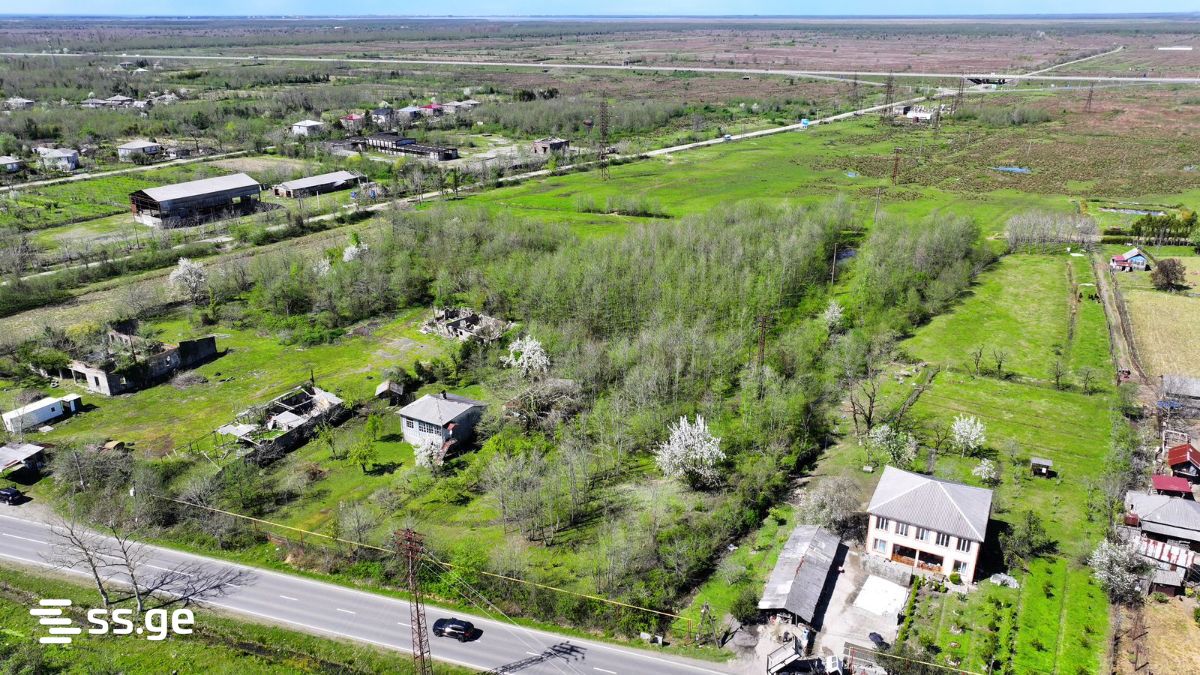 Land For Sale. Grigoleti view 1