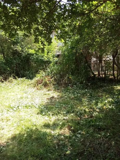 https://static.ss.ge/20260508/9_7a807e44-d286-4d09-916a-6462f9fa6f1c_Thumb.jpg