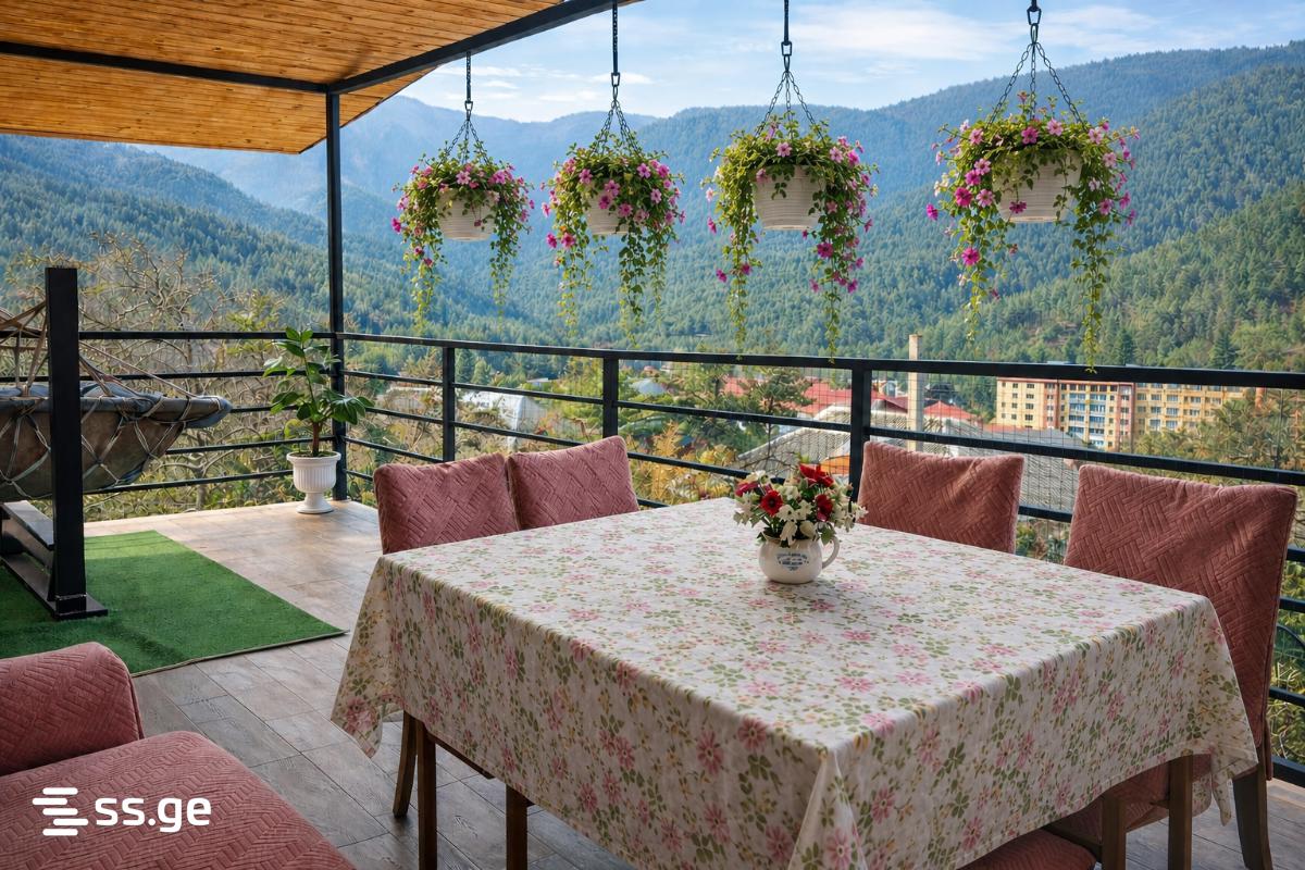 2 Room Flat Daily Rent. Borjomi view 1