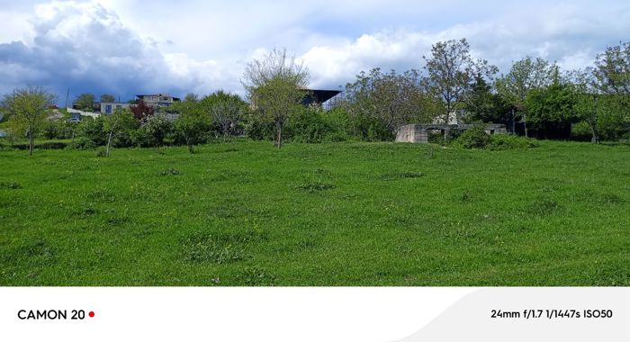 https://static.ss.ge/20260510/16_8f7b6784-9928-4ac7-bcb5-27324022e89d_Thumb.jpg