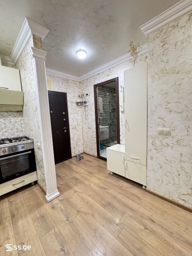 3 Room Apartment For Rent Rustavelis Ubani, In Batumi view 14