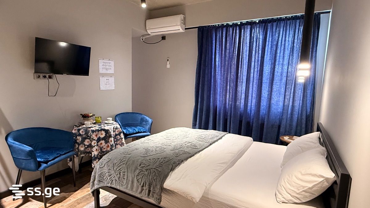 1 room Flat Daily rent. Navtlugi - Widok 5
