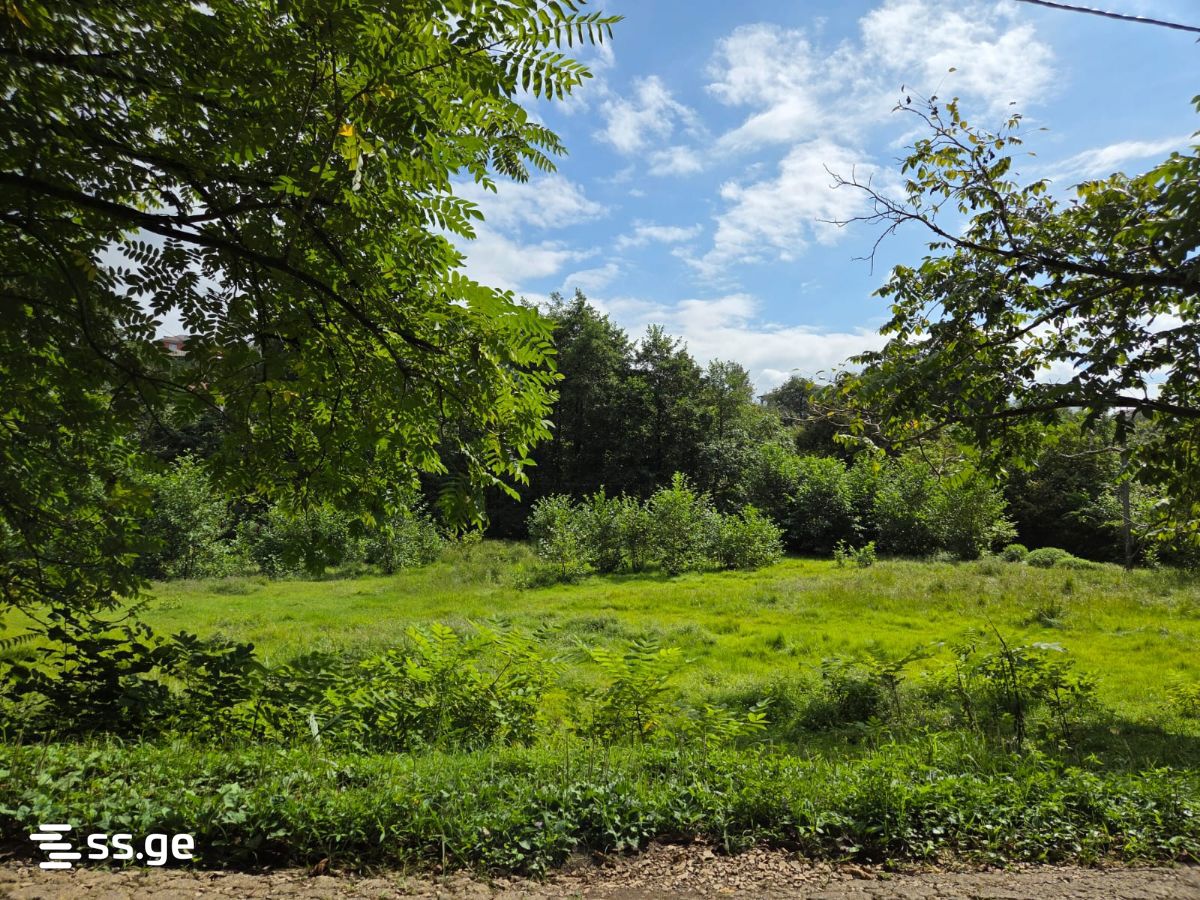 Land For Sale. Chaqvi view 8