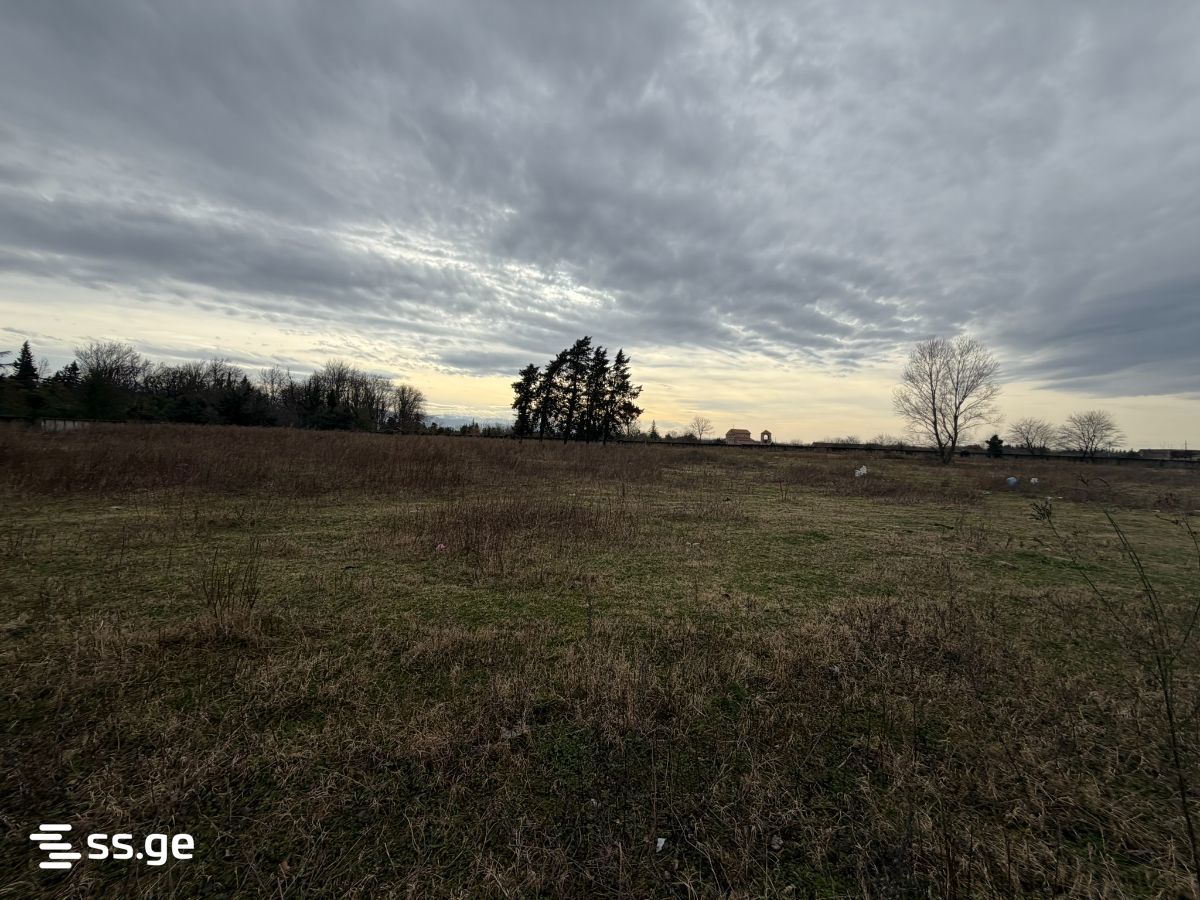 Land For Sale. Kutaisi view 3