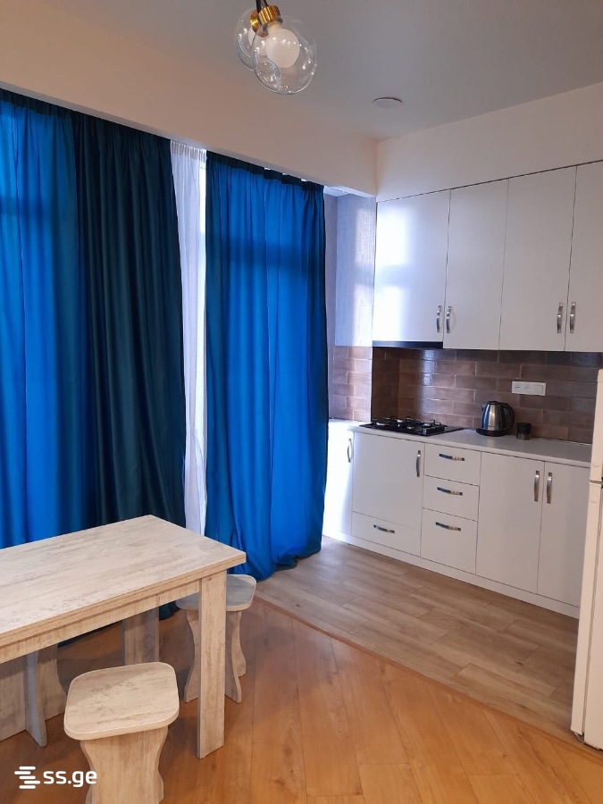 2 Room Flat Daily Rent. Didi Digomi, 2 of 9