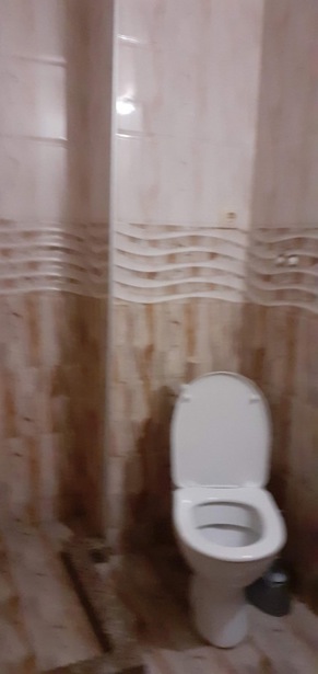 https://static.ss.ge/20260511/14_fb28fe5d-32d3-4c11-986a-a0ec532d527e_Thumb.jpg