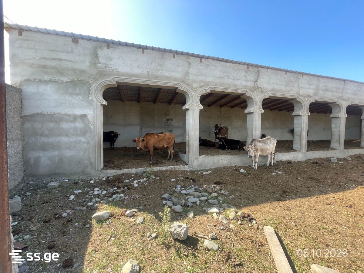 For Sale Satsarmoo Commercial Space Kaspshi view 7