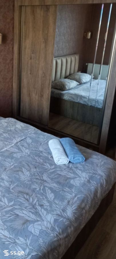 2 room Flat Daily rent. Didube - Vista 2