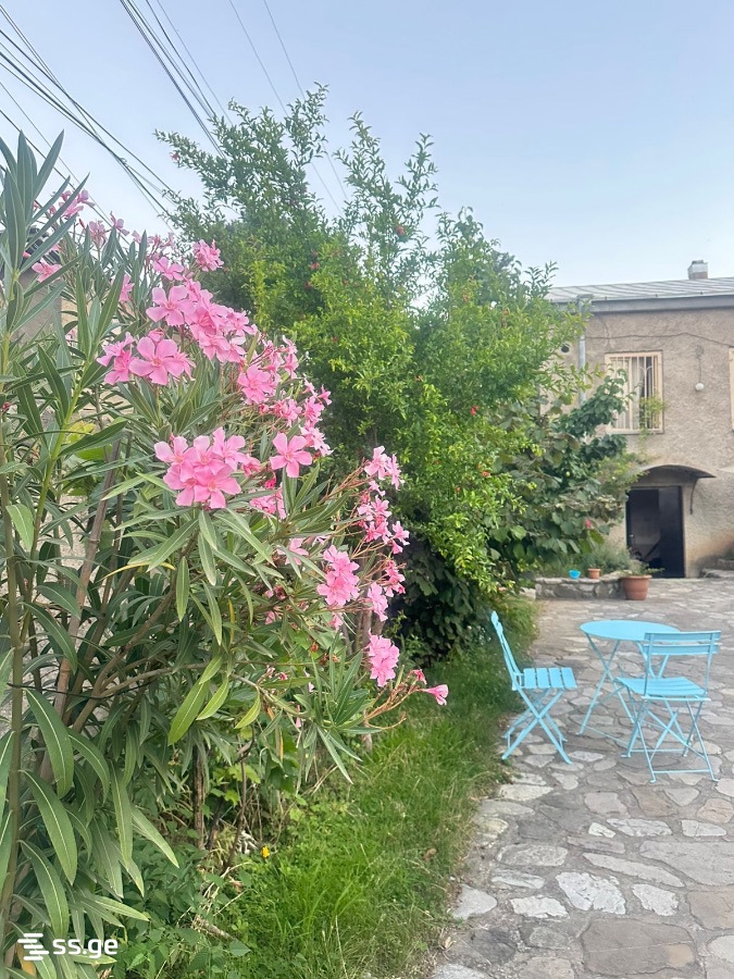 6 Room Flat Daily Rent. Telavi view 15