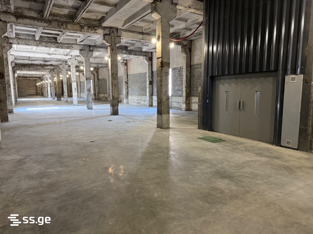Store-Industrial Property For Rent. Nadzaladevi, 2 of 3