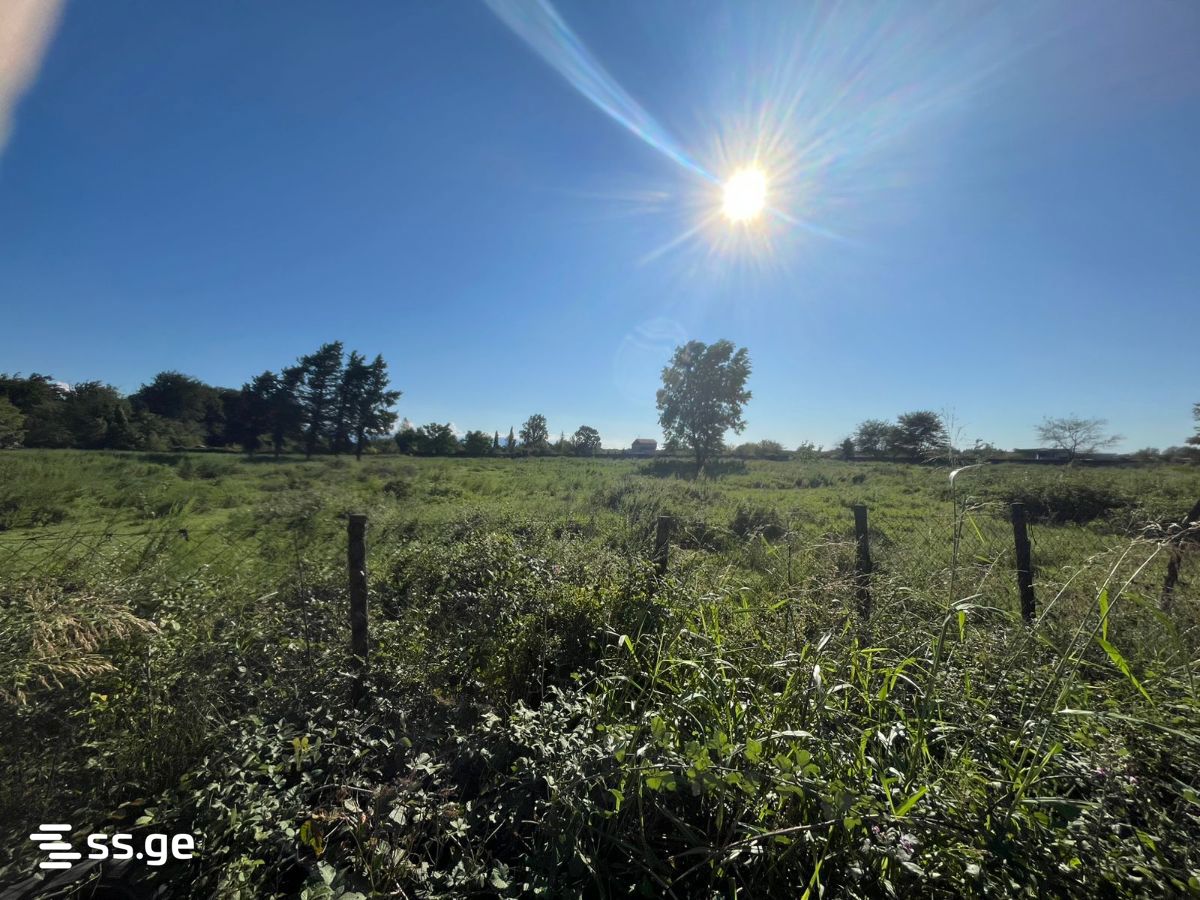 Land For Sale. Kutaisi view 4