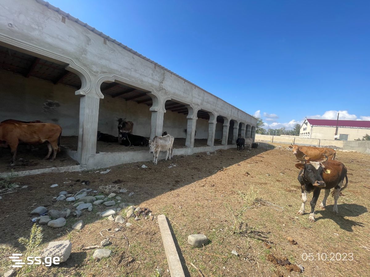 For Sale Satsarmoo Commercial Space Kaspshi view 10