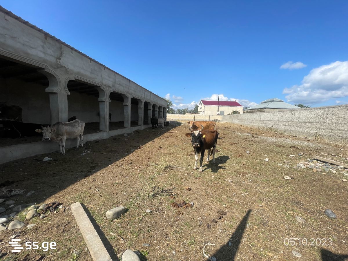 For Sale Satsarmoo Commercial Space Kaspshi view 8